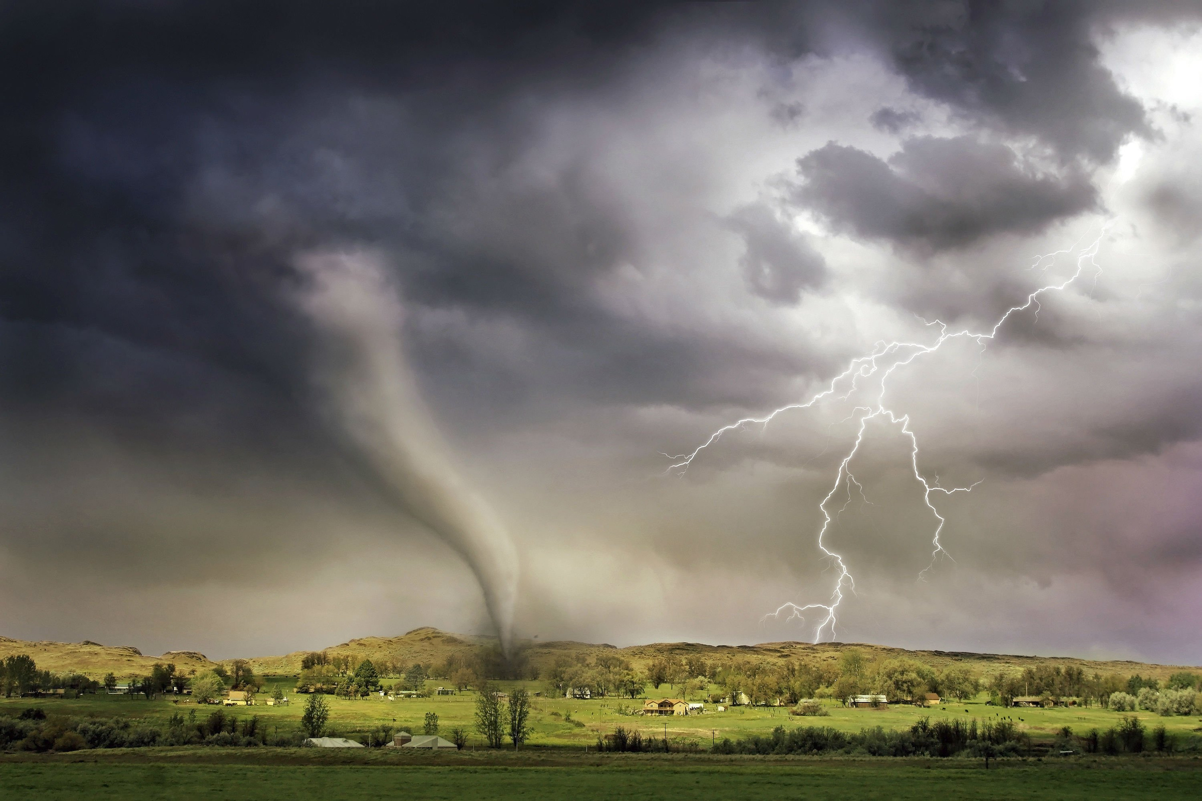 Tornado Tornado.jpg